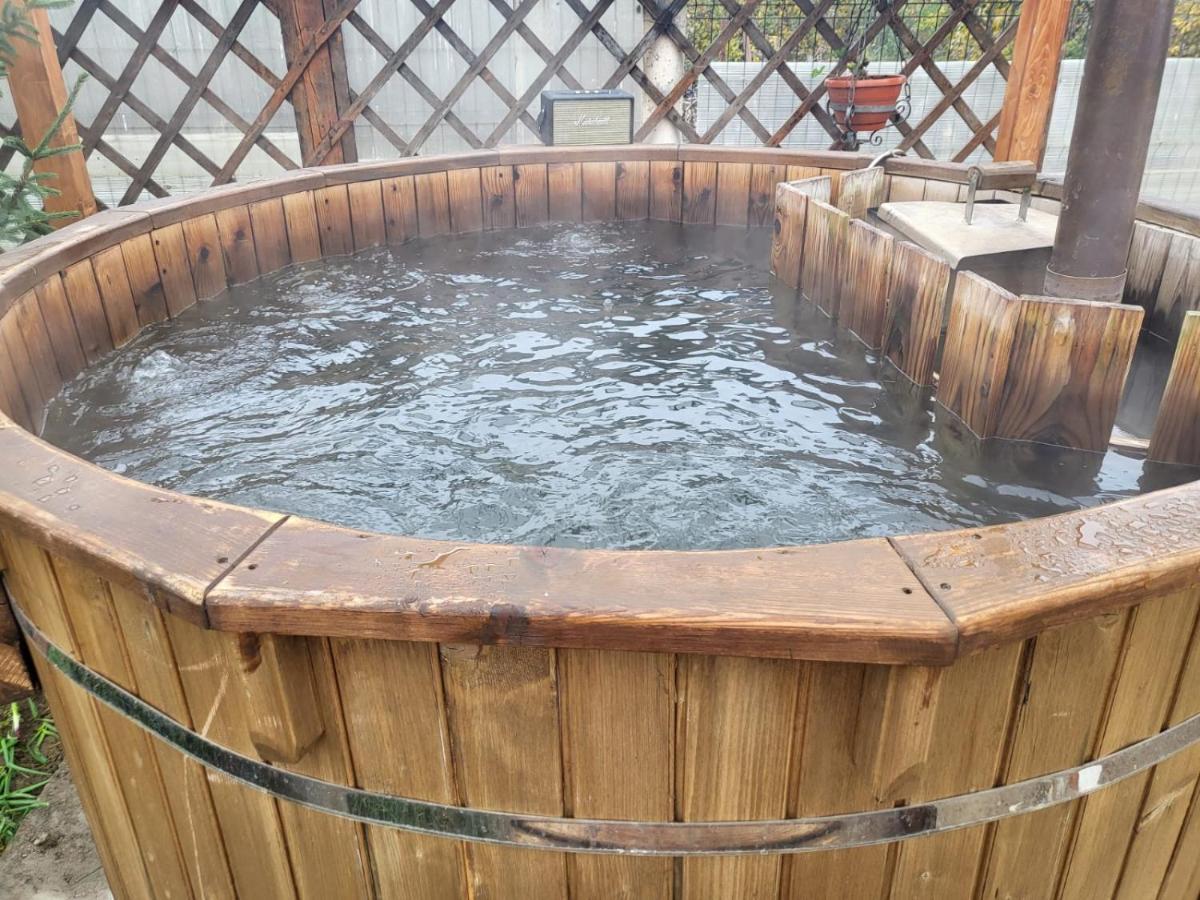Вилла Vila Ana Cu Terasa Gratar Si Jacuzzi Сату-Маре Экстерьер фото